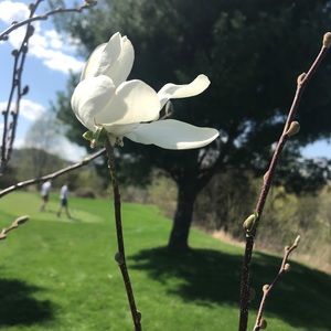 Meet your Posher, Cindy